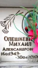 Захоронение ID 6354226