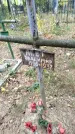Захоронение ID 6354247