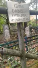 Захоронение ID 6354288