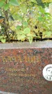 Захоронение ID 6354360