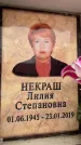 Захоронение ID 6354445