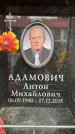 Захоронение ID 6354468