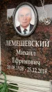 Захоронение ID 6354481