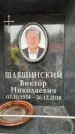 Захоронение ID 6354482