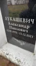 Захоронение ID 6354574