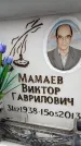 Захоронение ID 6354621