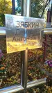 Захоронение ID 6355011