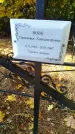 Захоронение ID 6355082