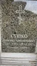 Захоронение ID 6355106