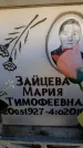 Захоронение ID 6355133