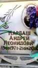 Захоронение ID 6355150