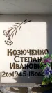 Захоронение ID 6355259