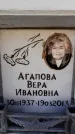 Захоронение ID 6355281