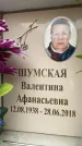 Захоронение ID 6355339