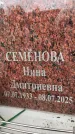 Захоронение ID 6355542
