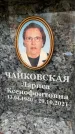 Захоронение ID 6355557