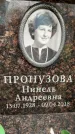 Захоронение ID 6355562