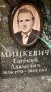 Захоронение ID 6355614