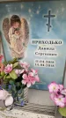 Захоронение ID 6355640