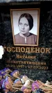 Захоронение ID 6355871