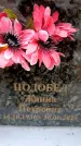 Захоронение ID 6355897