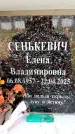 Захоронение ID 6355914