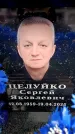 Захоронение ID 6356013