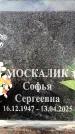 Захоронение ID 6356017