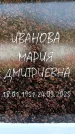 Захоронение ID 6356045