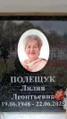 Захоронение ID 6356063