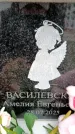 Захоронение ID 6356090