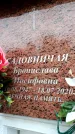 Захоронение ID 6356276