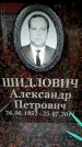Захоронение ID 6356350
