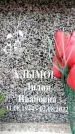 Захоронение ID 6356356