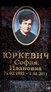 Захоронение ID 6356369
