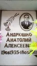 Захоронение ID 6356387