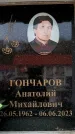 Захоронение ID 6356419