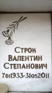 Захоронение ID 6356546