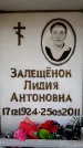 Захоронение ID 6356557