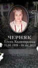 Захоронение ID 6356618