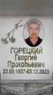 Захоронение ID 6356700