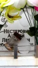Захоронение ID 6356733