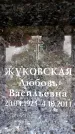 Захоронение ID 6356747