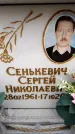 Захоронение ID 6356947