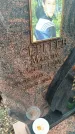 Захоронение ID 6357034
