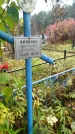 Захоронение ID 6357424