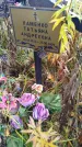 Захоронение ID 6357425