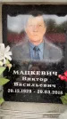 Захоронение ID 6357436