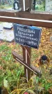Захоронение ID 6357563