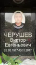 Захоронение ID 6357650